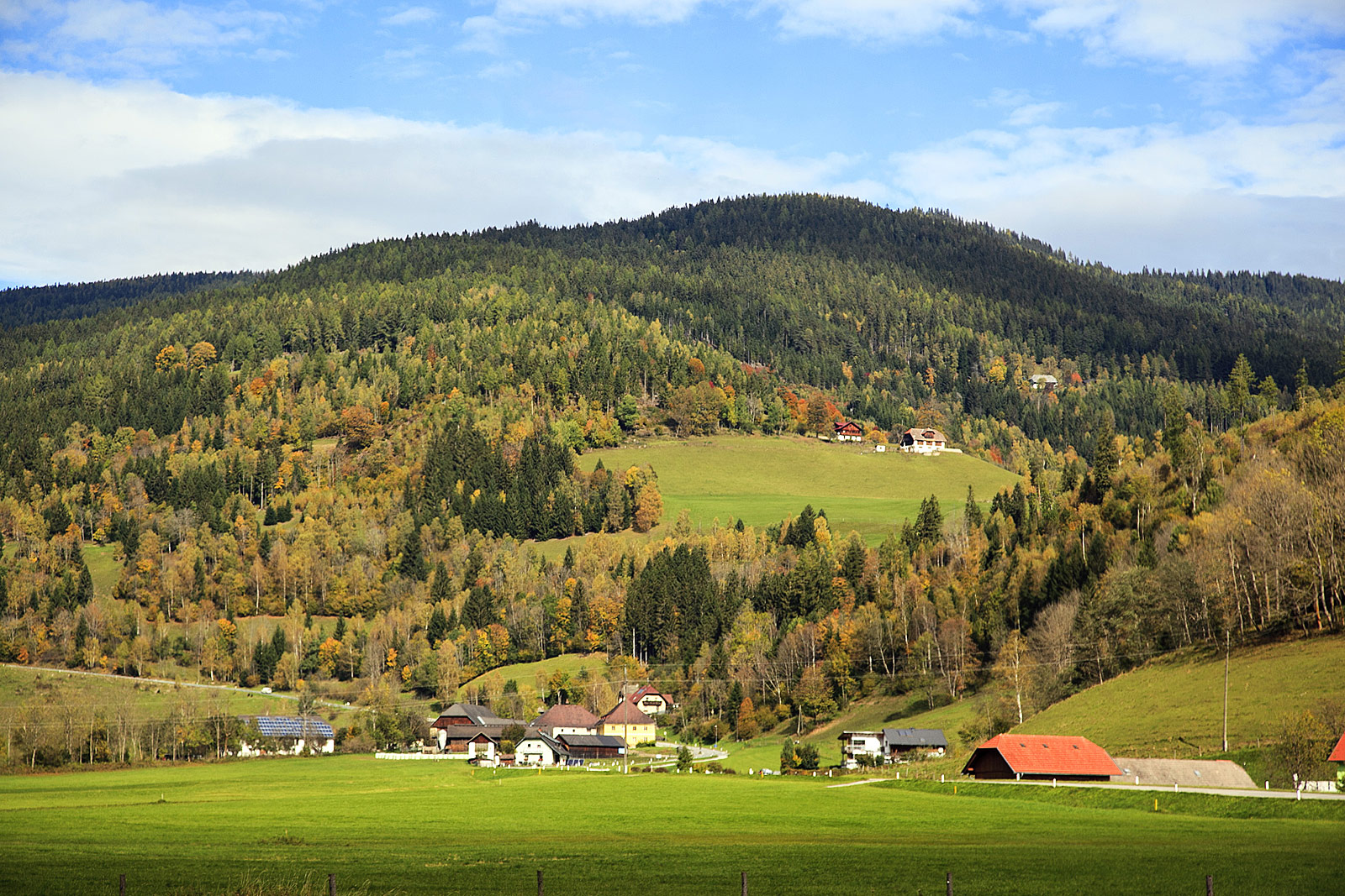 Hallein